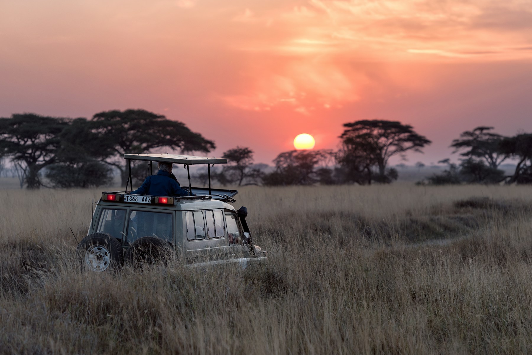 Viajeros observando fauna durante un safari africano